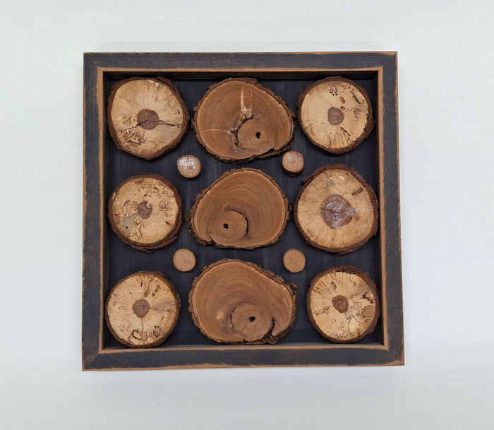 Tree Slices - natural with distressed frame