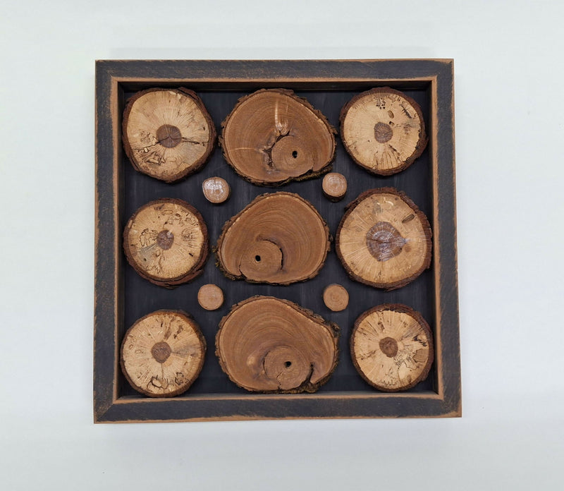 Tree Slices - natural with distressed frame
