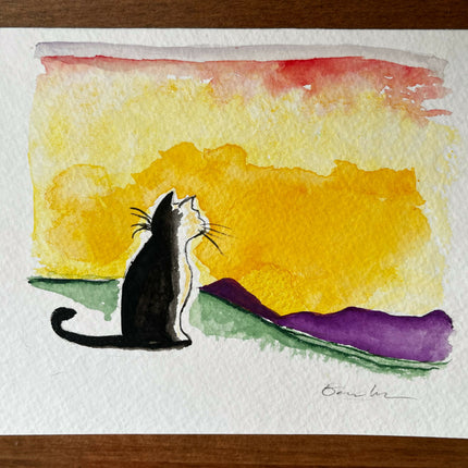 NC9 Black Cat Soaks Up a Sunset