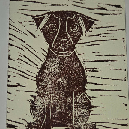 dog16