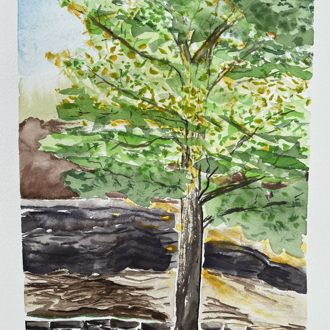Tree at Harmon Park