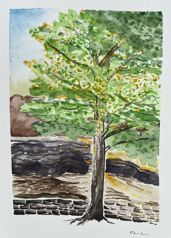 Tree at Harmon Park