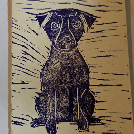 dog12