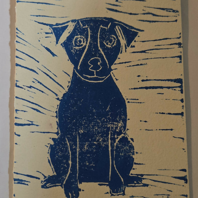 dog3